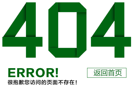 404错误